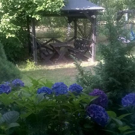Agroturystyka Gaga ウストカ エクステリア 写真