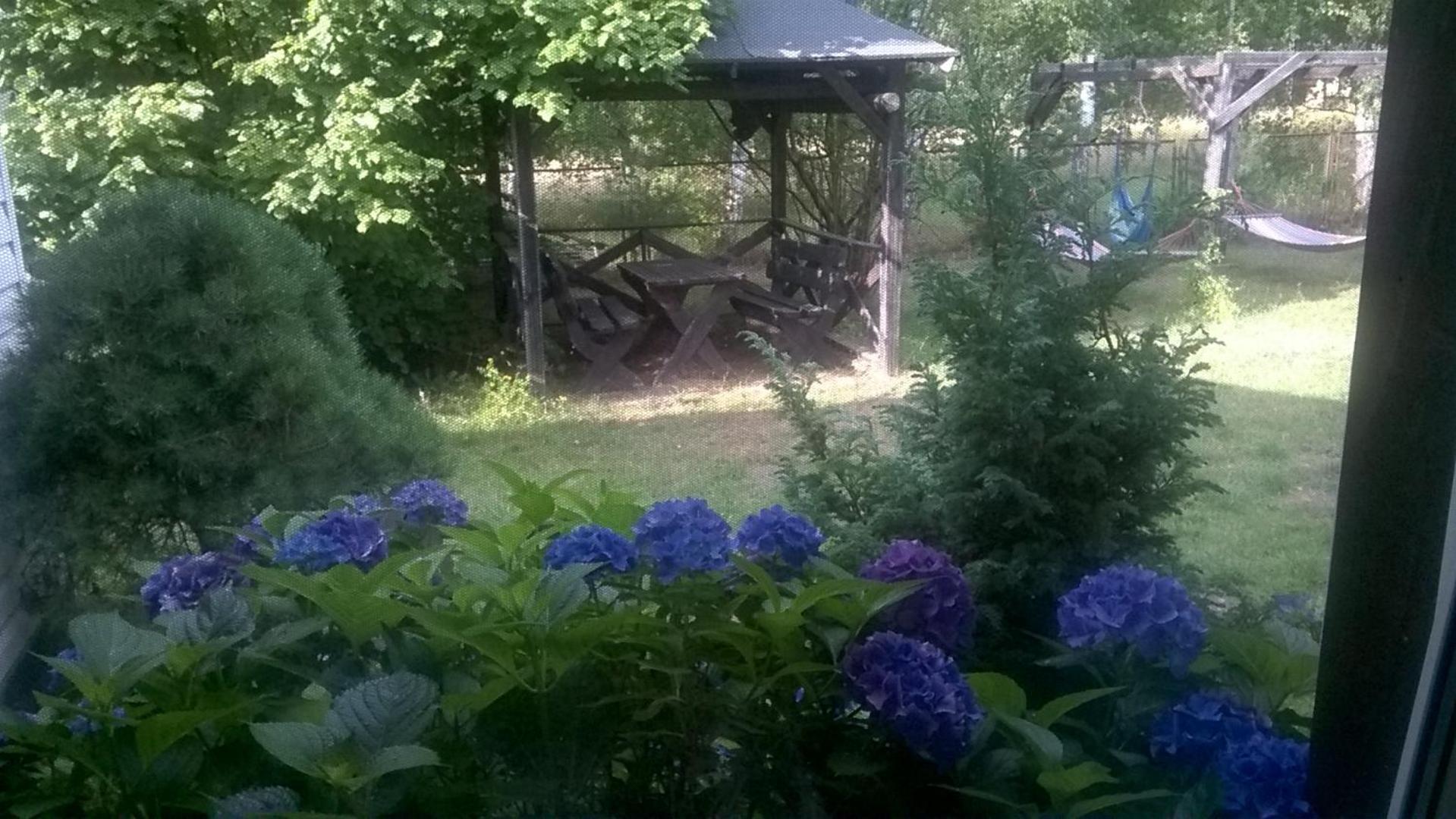 Agroturystyka Gaga ウストカ エクステリア 写真